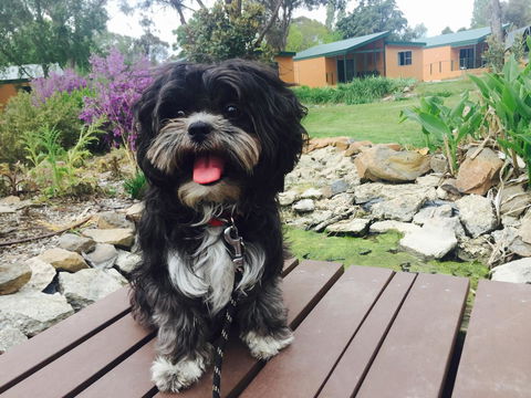 Armidale Tourist Park - Accommodation Brunswick Heads 32