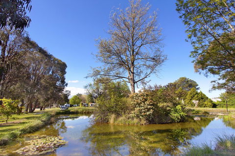 Armidale Tourist Park - Accommodation Brunswick Heads 24
