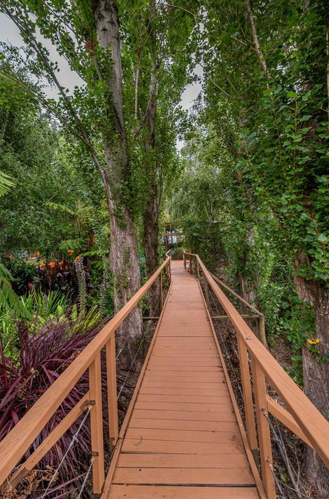 Chimes Spa Retreat - Accommodation Brunswick Heads 25