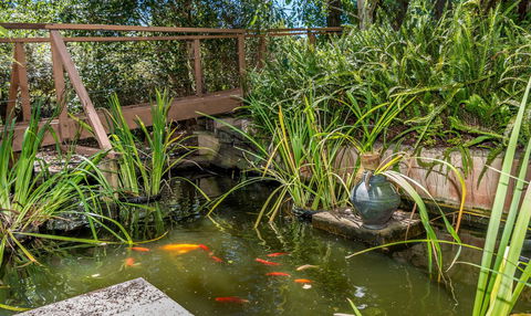 Chimes Spa Retreat - Accommodation Brunswick Heads 27