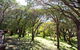 Karriview Margaret River - thumb 13