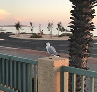 Shark Bay Seafront Apartments - Accommodation Brunswick Heads