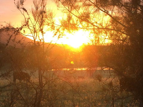 Grapevines Boutique Accommodation - Accommodation Brunswick Heads 27