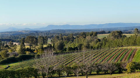 Grapevines Boutique Accommodation - Accommodation Brunswick Heads 21