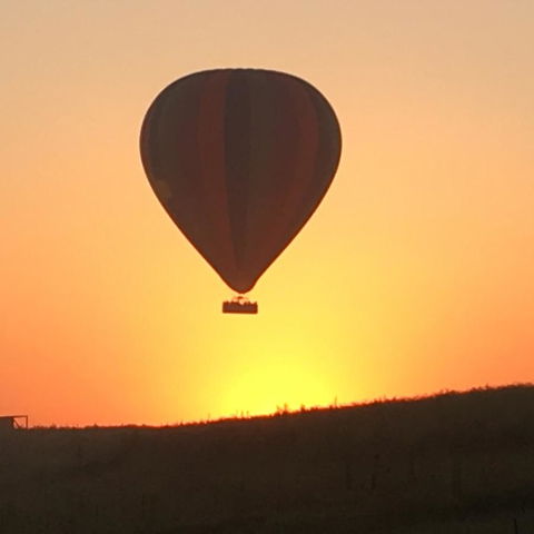Grapevines Boutique Accommodation - Accommodation Brunswick Heads 13