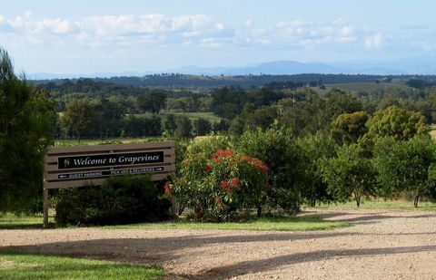 Grapevines Boutique Accommodation - Accommodation Brunswick Heads 15