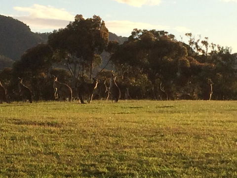 Grapevines Boutique Accommodation - Accommodation Brunswick Heads 26