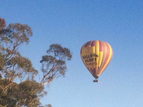 Grapevines Boutique Accommodation - Accommodation Brunswick Heads 12