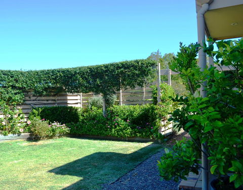 Grapevines Boutique Accommodation - Accommodation Brunswick Heads 14