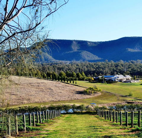 Grapevines Boutique Accommodation - Accommodation Brunswick Heads 5