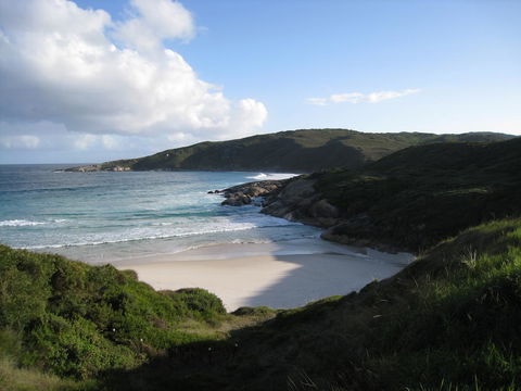 Albany Motel & Apartments - Accommodation Brunswick Heads 23