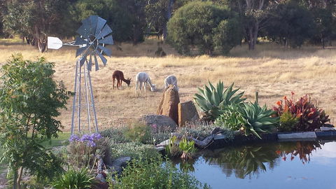 Glenelg On King Bed & Breakfast - Accommodation Brunswick Heads 19