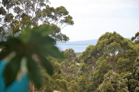 The Floating Forest - Accommodation Brunswick Heads 8