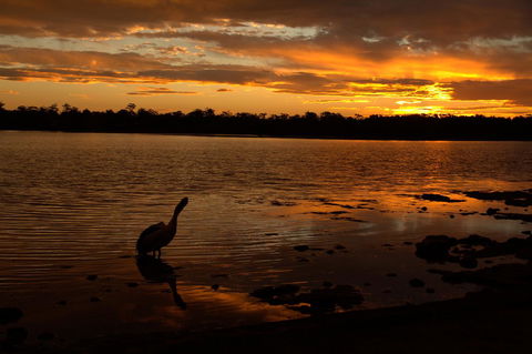 Dungowan Holiday Accommodation - Accommodation Brunswick Heads 31