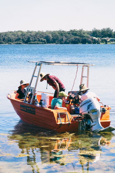 Dungowan Holiday Accommodation - Accommodation Brunswick Heads 39