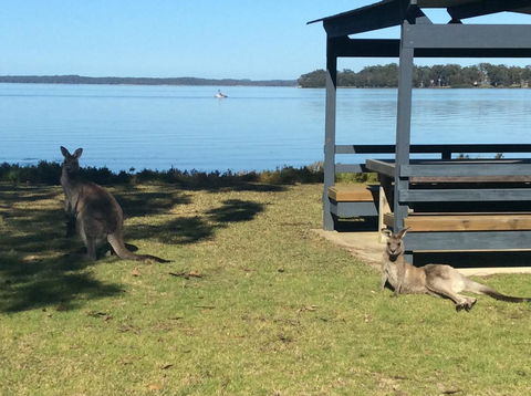 Dungowan Holiday Accommodation - Accommodation Brunswick Heads 33