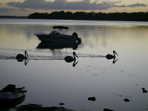Dungowan Holiday Accommodation - Accommodation Brunswick Heads 41