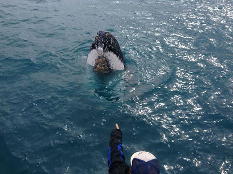 Number 72 Kalbarri Riverview Apartments - Accommodation Brunswick Heads 11