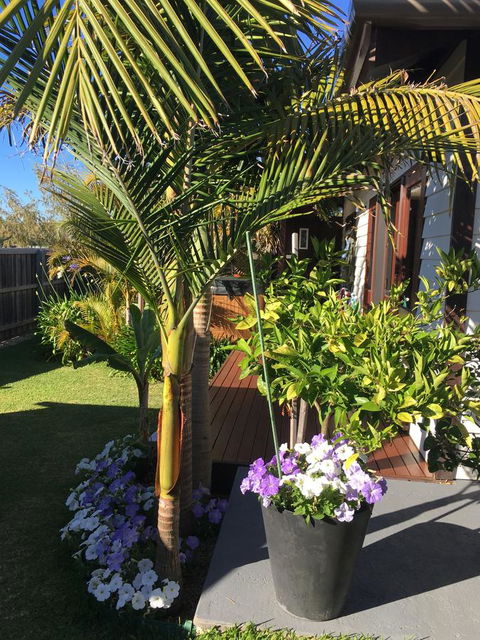 Bella Bali Gardens - Accommodation Brunswick Heads 23