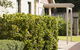 Amalfi Resort - thumb 9