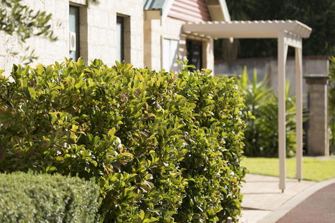 Amalfi Resort - Accommodation Brunswick Heads 9
