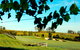 Chateau Elan At The Vintage - thumb 16