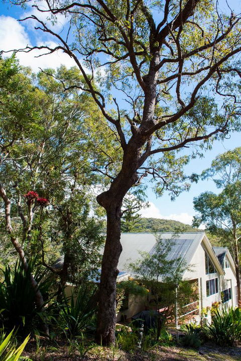 Nelson Bay Bed & Breakfast - Accommodation Brunswick Heads 42