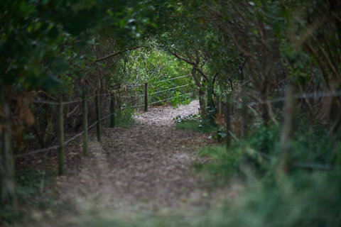 Ingenia Holidays Byron Bay - Accommodation Brunswick Heads 15