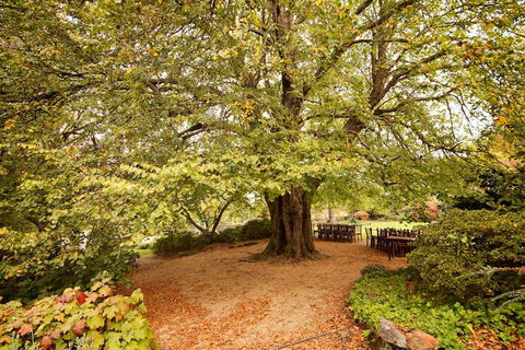 Nesuto Leura Gardens (formerly Waldorf Leura Gardens Resort) - Accommodation Brunswick Heads 1