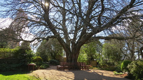 Nesuto Leura Gardens (formerly Waldorf Leura Gardens Resort) - Accommodation Brunswick Heads 3