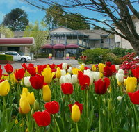 Nesuto Leura Gardens formerly Waldorf Leura Gardens Resort - Accommodation Brunswick Heads