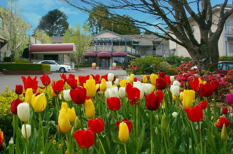 Nesuto Leura Gardens (formerly Waldorf Leura Gardens Resort) - Accommodation Brunswick Heads 0