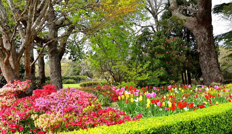 Nesuto Leura Gardens (formerly Waldorf Leura Gardens Resort) - Accommodation Brunswick Heads 8