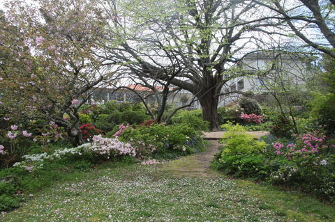 Nesuto Leura Gardens (formerly Waldorf Leura Gardens Resort) - Accommodation Brunswick Heads 4