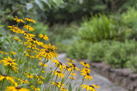 Nesuto Leura Gardens (formerly Waldorf Leura Gardens Resort) - Accommodation Brunswick Heads 16