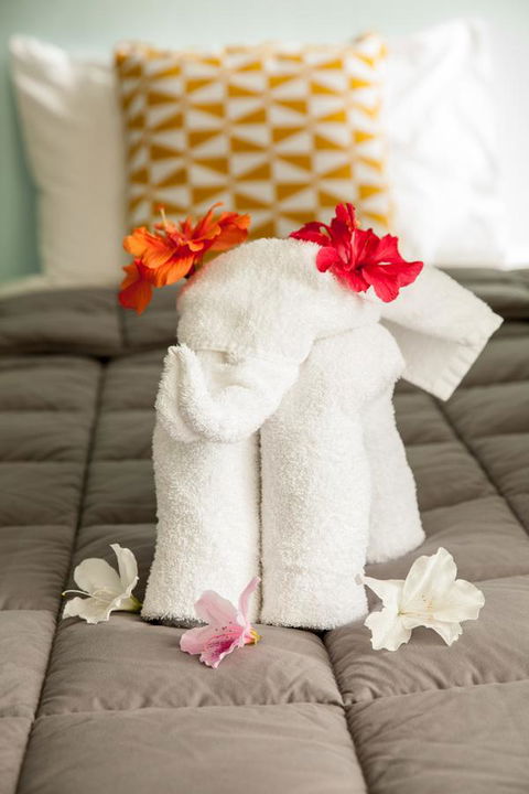 Kempsey Rose Motor Inn - Accommodation Brunswick Heads 17