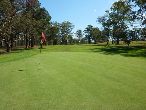 Kempsey Rose Motor Inn - Accommodation Brunswick Heads 3