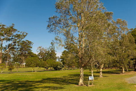 Kempsey Rose Motor Inn - Accommodation Brunswick Heads 32
