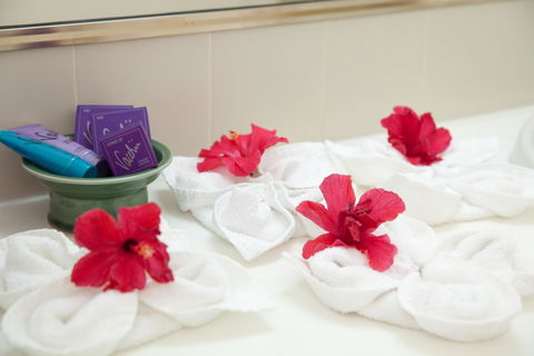 Kempsey Rose Motor Inn - Accommodation Brunswick Heads 14