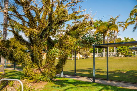 Kempsey Rose Motor Inn - Accommodation Brunswick Heads 41
