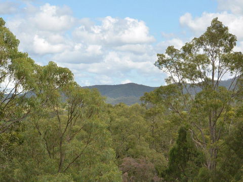 Villa Executive 2br Cypress DS Located Within Cypress Lakes Resort - Accommodation Brunswick Heads 8