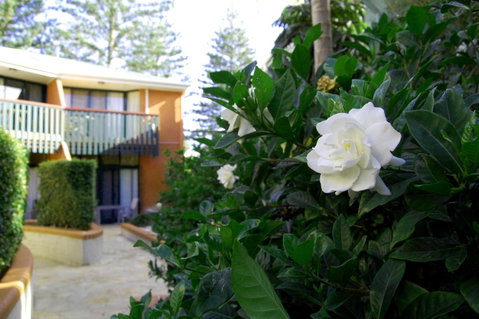 The Crest Byron Bay - Accommodation Brunswick Heads 29