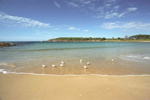 On The Beach Getaway - Accommodation Brunswick Heads 12