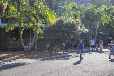 The Palms At Avoca - Accommodation Brunswick Heads 14
