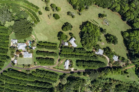 Byron Hinterland Villas - Accommodation Brunswick Heads 17