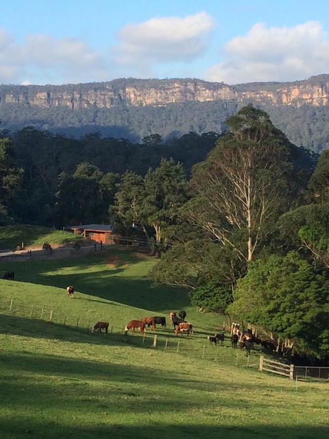 Amaroo Valley Springs - Accommodation Brunswick Heads 0