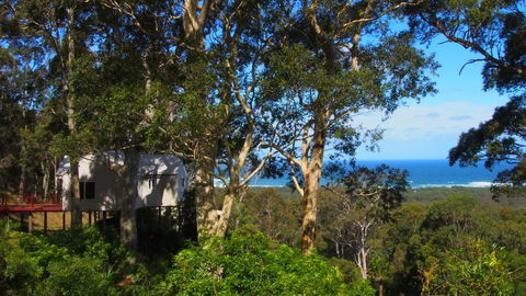 Bundle Hill Cottages - Accommodation Brunswick Heads 7