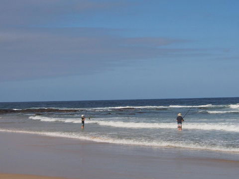 Bundle Hill Cottages - Accommodation Brunswick Heads 10
