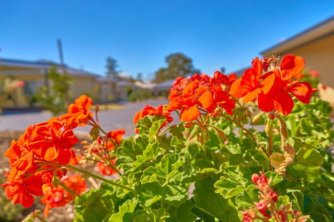 Hunter Oasis - Accommodation Brunswick Heads 42