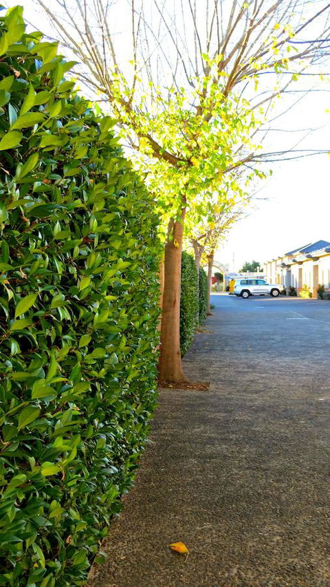 Best Western Plus Goulburn - Accommodation Brunswick Heads 37